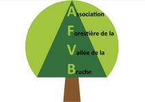 AFBV-ccVB-permanence partenaires