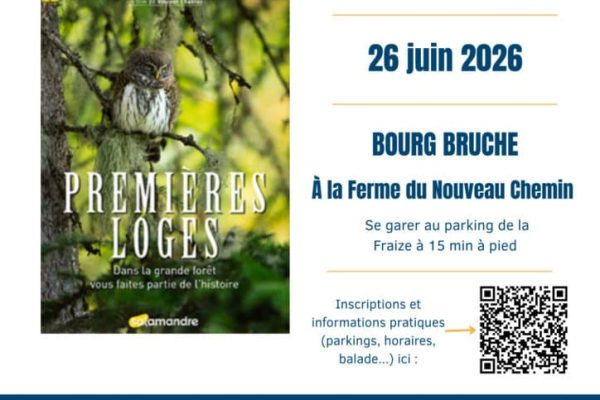 Affiche Ciné Débat - Premières Loges - 26 juin - Bourg Bruche