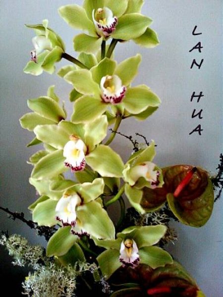 LANHUA Fleurs d'orchidées