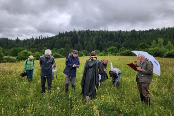 Lauréats du concours des prairies fleuries 2025