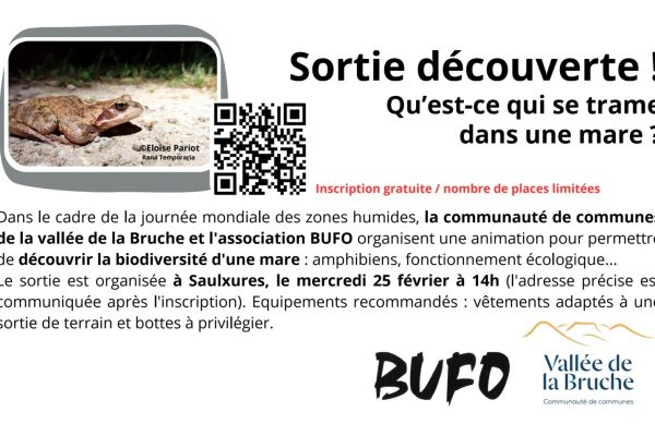 Sortie découverte - BUFO + ccvB